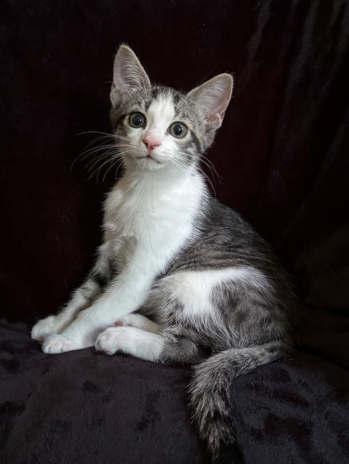 Clawdette