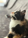 Catherine26