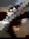 Riki