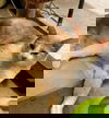 Andy