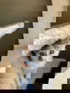 Peanut