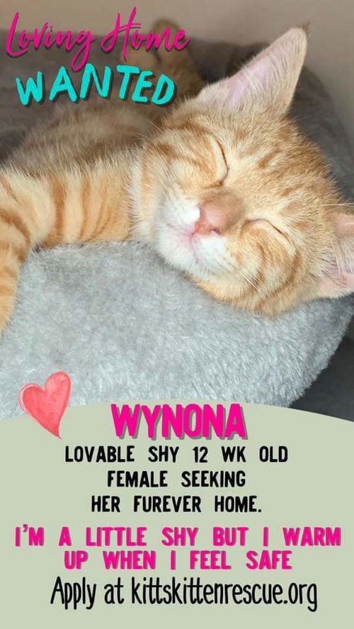 Wynonna