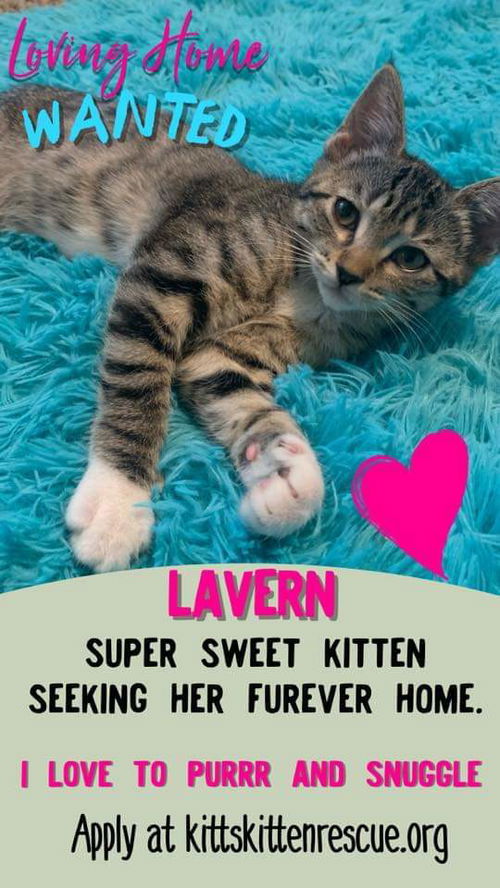 Lavern