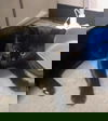 Tyson