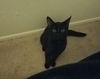 Midna