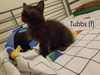 Tubbs