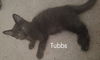 Tubbs