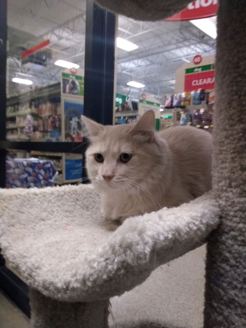 Milo