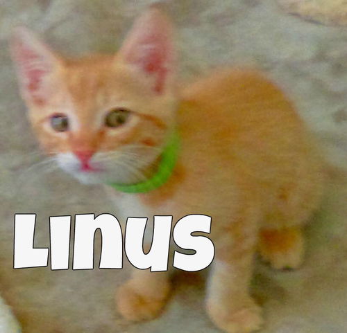 Linus