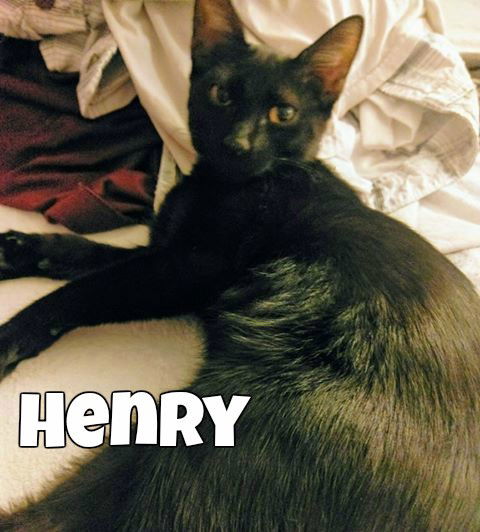 Henry