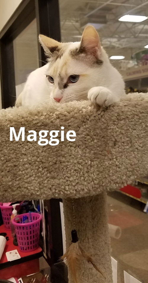 Maggie