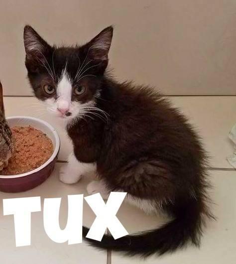 TUX