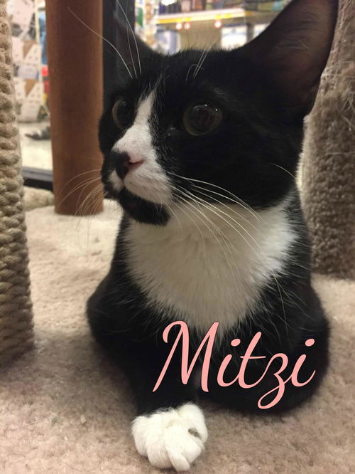 Mitzi