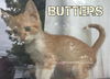 Butters