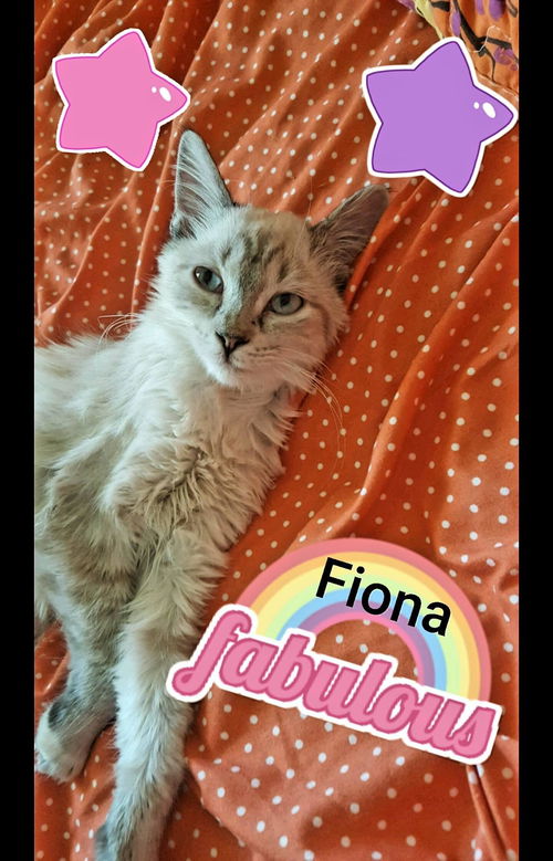 Fiona