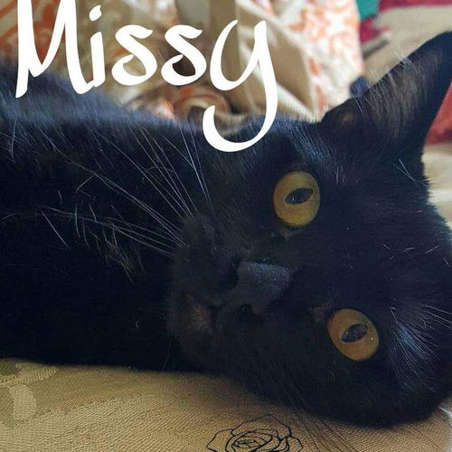 Missy