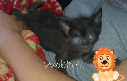 Wobbles