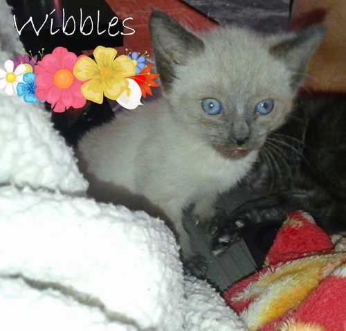 Wibbles