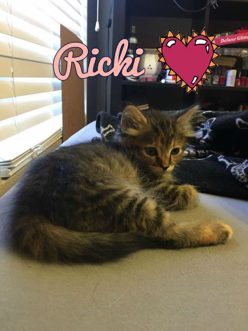 Ricki