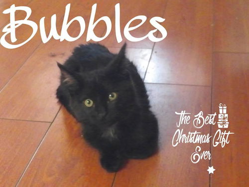Bubbles