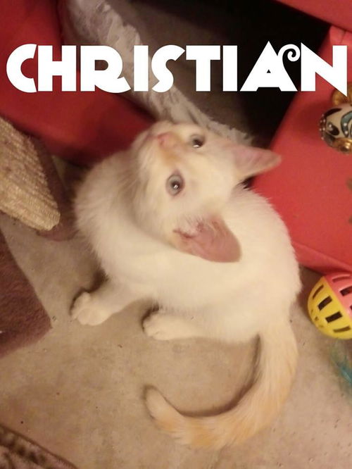 Christian