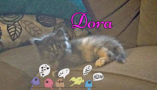 Dora