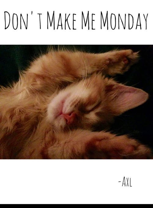 axel