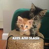 axel