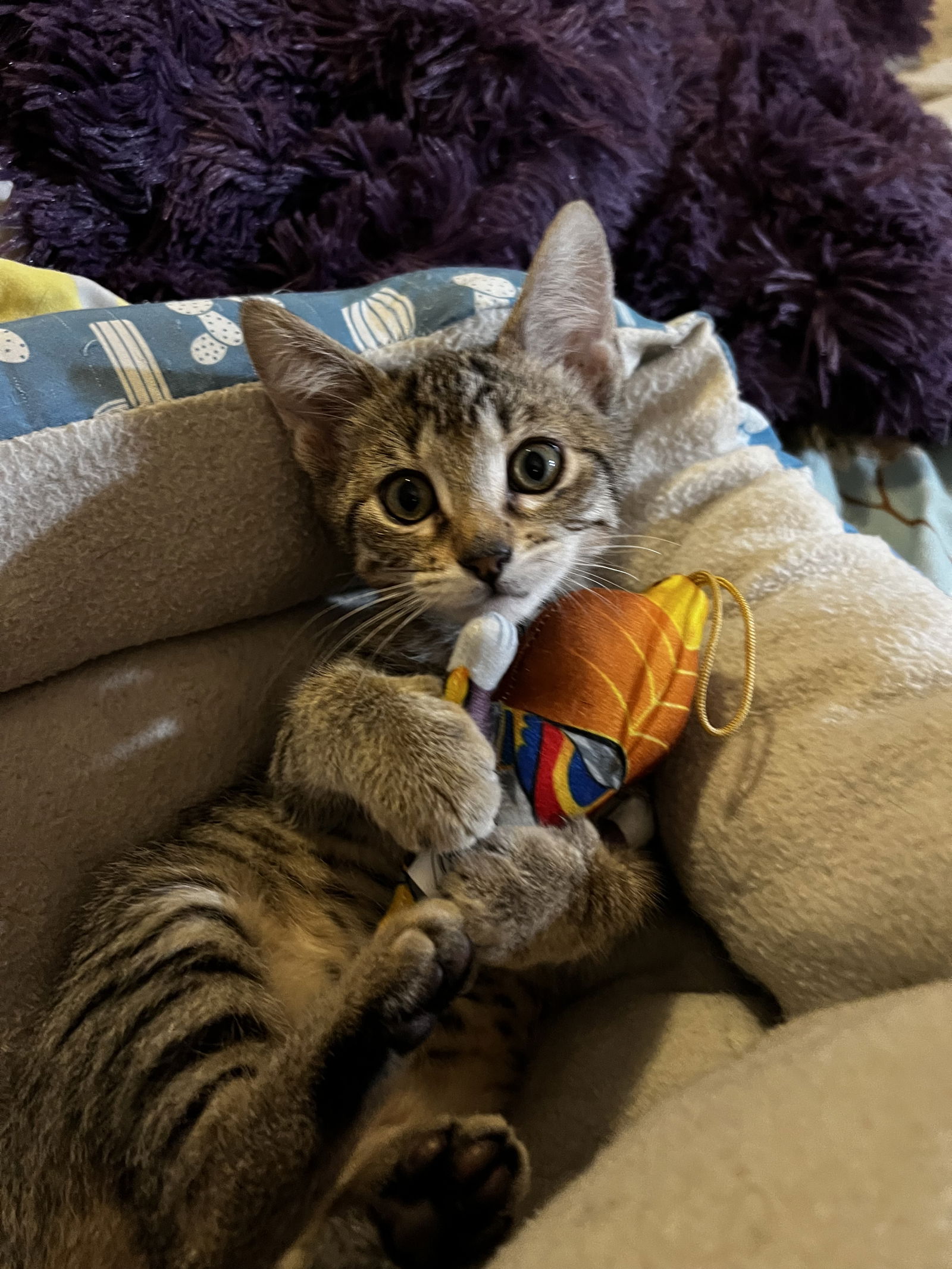 Tator Tot