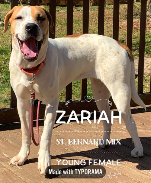 Zariah