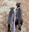Cowboy - Photo 4
