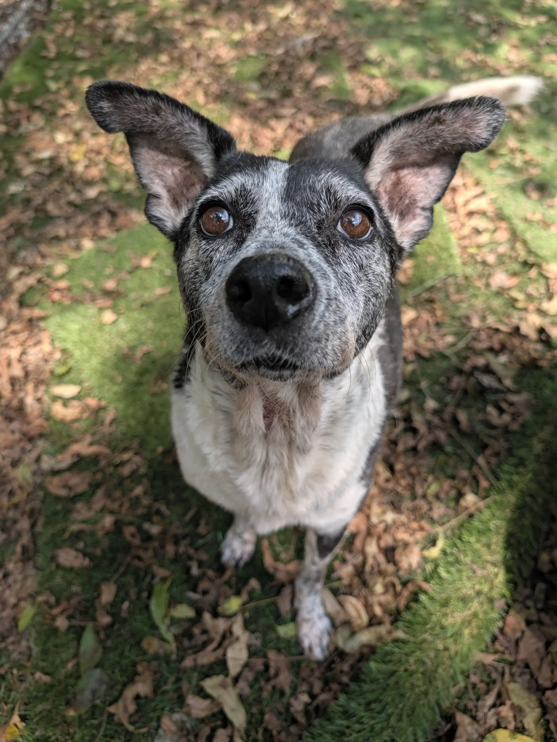 Catoosa image 2