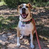 Rosalie - Photo 2