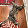 Courtesy Listing: Reggie - Photo 2