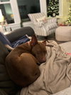 Ruby - Photo 3