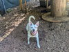 Delilah - Photo 4