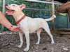 Delilah - Photo 3