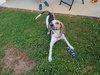 Kennedy - Photo 2