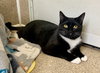 Jasper - Photo 3