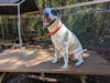 Patch - Photo 1