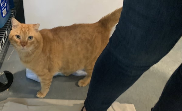 Leo
