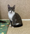 Nelly - Photo 1