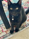 Cagney - Photo 3