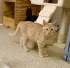 Otis - Photo 3