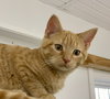 Otis - Photo 4