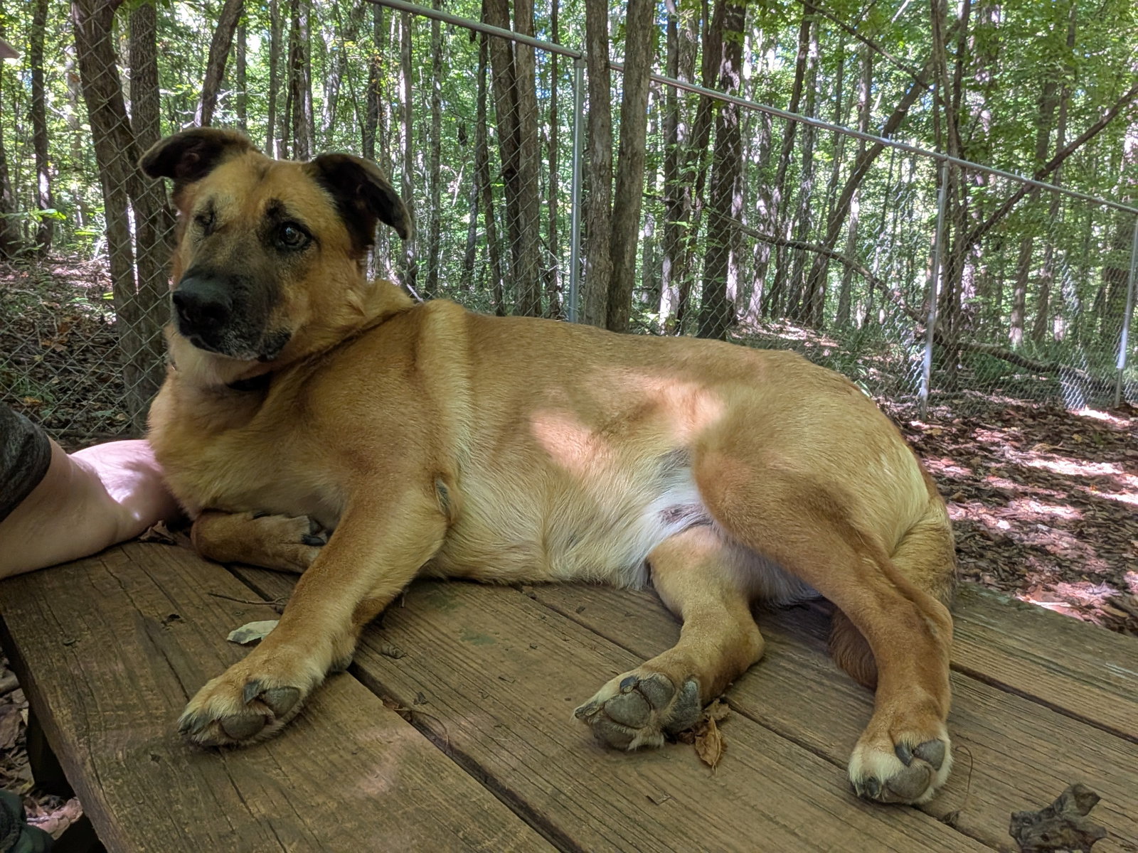 Brandie, photo 3
