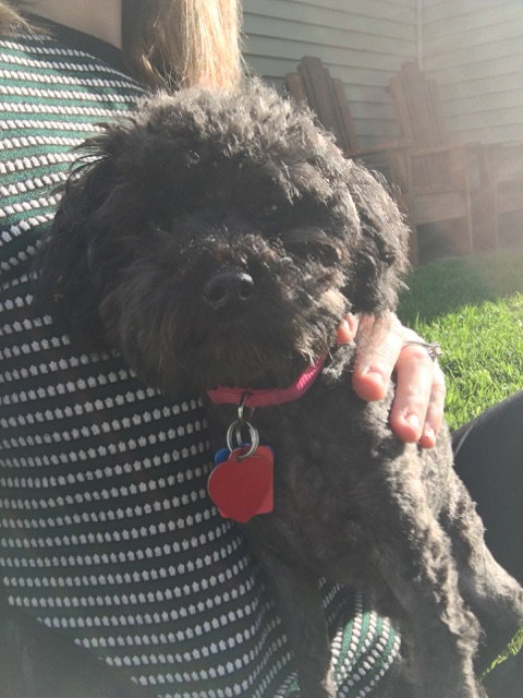 Minnie