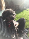 Minnie