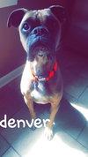Denver
