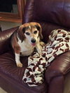 Miss Ellie
